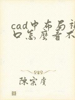 cad中布局视口怎么看不到图