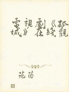 电视剧《孤战迷城》在线观看免费