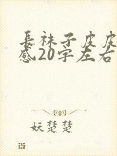 长袜子皮皮读后感20字左右