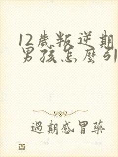 12岁叛逆期的男孩怎么引导