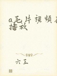 a毛片视频在线播放