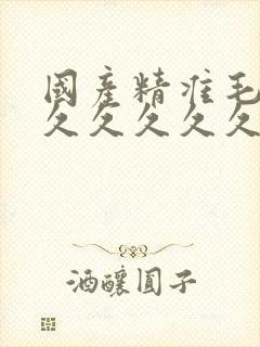 国产精准毛片久久久久久久av