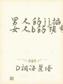 男人的jj插入女人b的视频