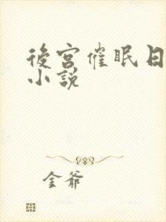 后宫催眠日记 小说