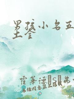 男孩小名五行缺土金