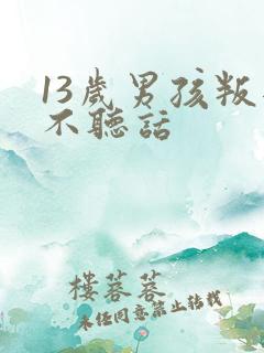 13岁男孩叛逆不听话