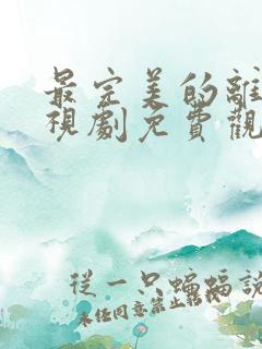 最完美的离婚电视剧免费观看