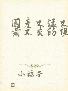 国产又猛又粗又黄又爽的视频