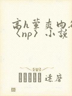 高h荤爽肉欲文〈np〉小说