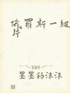 俄罗斯一级人一片