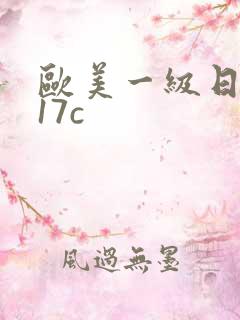 欧美一级日韩片17c