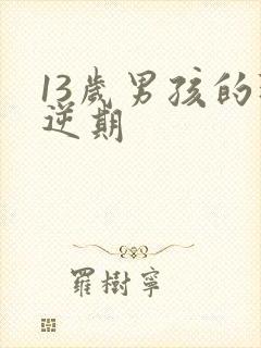 13岁男孩的叛逆期