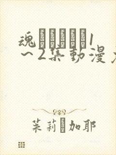 魂インサート1～2集动漫免费