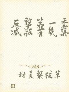 反击第一季未删减版有几集