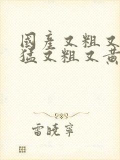 国产又粗又爽又猛又粗又黄的视频