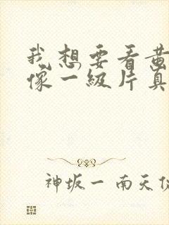 我想要看黄色录像一级片真人