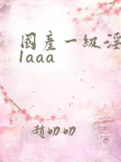 国产一级淫片91aaa