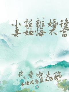 小说离婚后,前妻她悔不当初最新章节