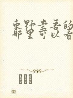 东野圭吾的小说哪里可以看