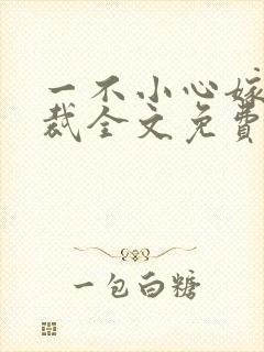 一不小心嫁了总裁全文免费阅读