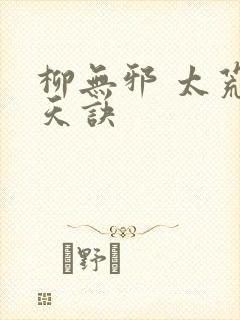 柳无邪 太荒吞天诀