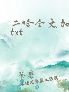 二哈全文加番外txt