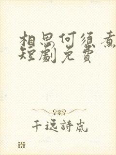 相思何须煮余年短剧免费