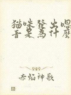 猫咪发出嗯的声音是为什么