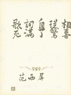 歌词自从相遇我充满了惊喜是什么歌