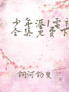 少年派1电视剧全集免费下载