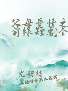 父母爱情之再续前缘短剧全集