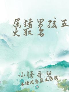 属猪男孩五行缺火取名