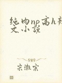 纯肉np高h辣文小说