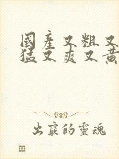 国产又粗又深又猛又爽又黄视频