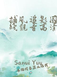 捕风追影国语在线观看高清