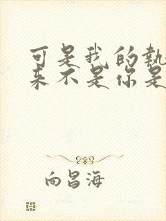 可是我的执着从来不是你是什么歌