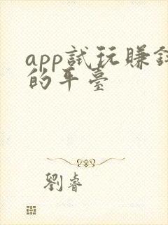 app试玩赚钱的平台