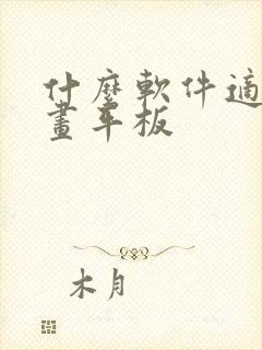 什么软件适合画画平板