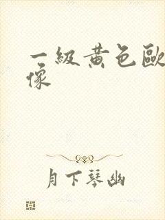 一级黄色欧美录像