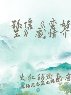 孙俪《蛮好的人生》剧情介绍