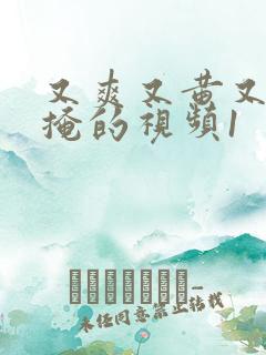 又爽又黄又无遮掩的视频1