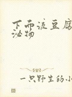 下面流豆腐渣分泌物