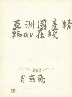 亚洲国产精品日韩av在线