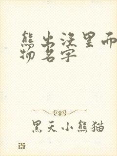 熊出没里面的人物名字