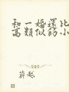 和一婚还比一婚高类似的小说