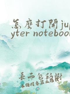 怎么打开jupyter notebook