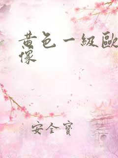 黄色一级欧美录像