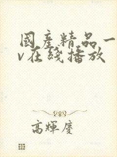 国产精品一级av在线播放