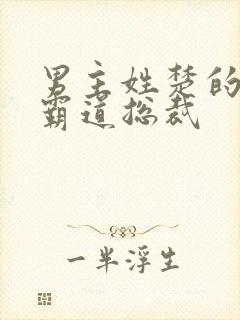 男主姓楚的小说霸道总裁