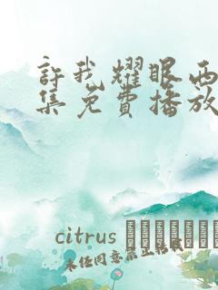 许我耀眼西瓜全集免费播放